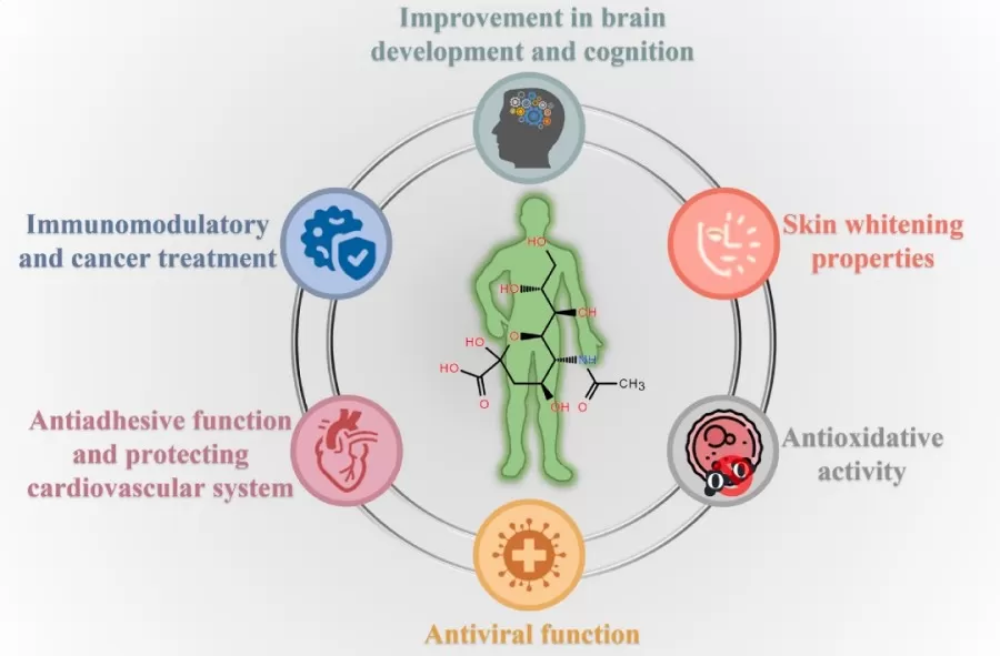 Physiological roles of Neu5Ac (Zhao et al., 2023)